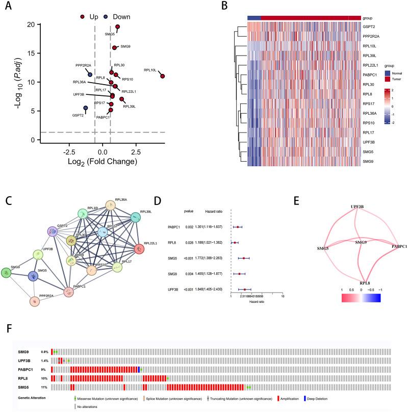 https://cdn.ncbi.nlm.nih.gov/pmc/blobs/5416/11055534/5e5fa4fd6314/JHC-11-747-g0002.jpg