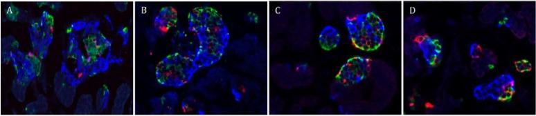 https://cdn.ncbi.nlm.nih.gov/pmc/blobs/5417/4303851/ceb42177eb00/nutrients-07-00500-g003.jpg
