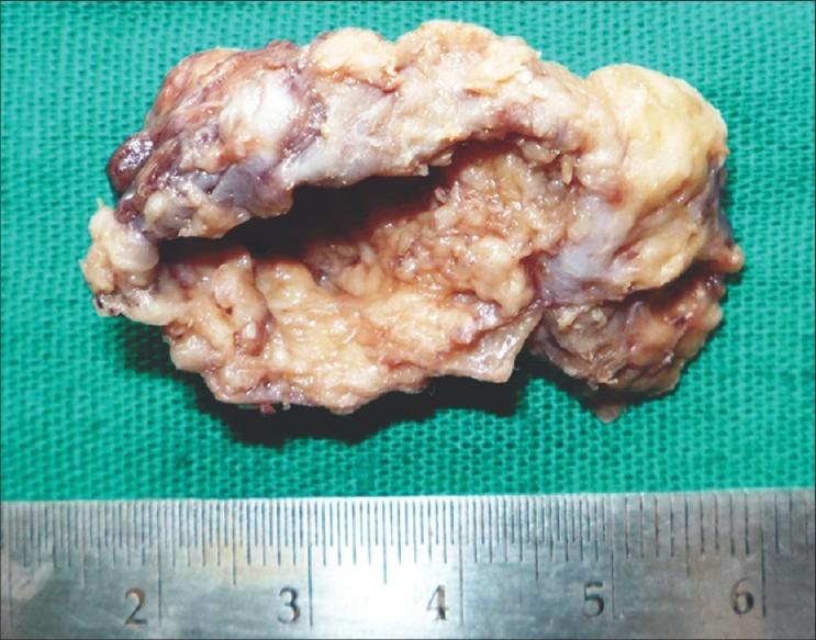https://cdn.ncbi.nlm.nih.gov/pmc/blobs/5418/3591044/3f7be701314a/AMS-1-66-g004.jpg