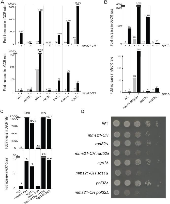 https://cdn.ncbi.nlm.nih.gov/pmc/blobs/5418/5860785/5dac290c3f94/pgen.1007250.g005.jpg