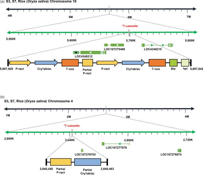 https://cdn.ncbi.nlm.nih.gov/pmc/blobs/541a/11382891/0769aee1db65/PBI-20-964-g006.jpg
