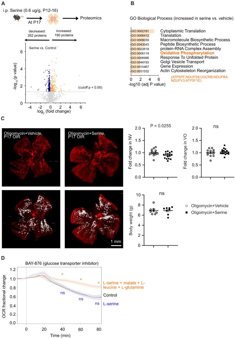 https://cdn.ncbi.nlm.nih.gov/pmc/blobs/541c/12036884/11e9d4bc8f13/thnov15p5087g004.jpg