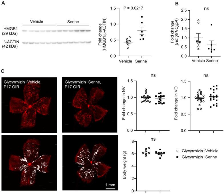 https://cdn.ncbi.nlm.nih.gov/pmc/blobs/541c/12036884/aa463fcd142e/thnov15p5087g006.jpg