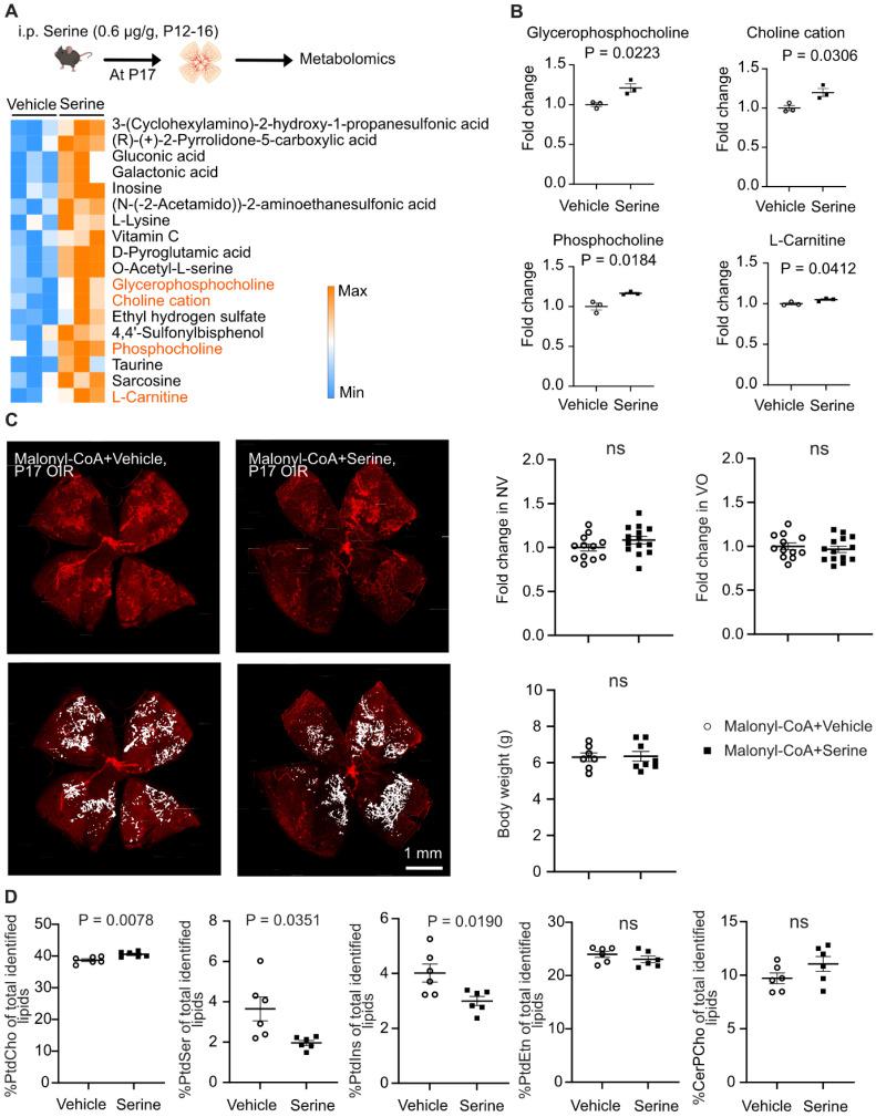 https://cdn.ncbi.nlm.nih.gov/pmc/blobs/541c/12036884/f729ded1a5ec/thnov15p5087g003.jpg