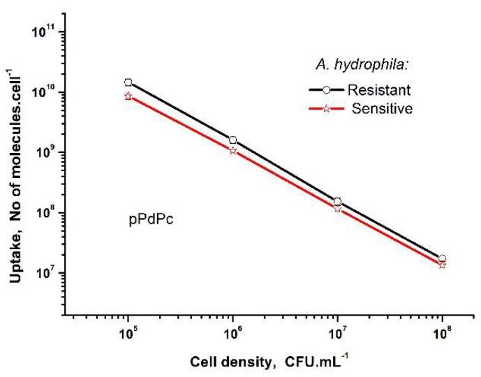 https://cdn.ncbi.nlm.nih.gov/pmc/blobs/541d/8962408/d48ad550f6d2/biomedicines-10-00384-g003.jpg