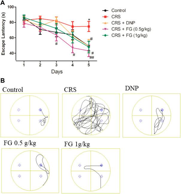 https://cdn.ncbi.nlm.nih.gov/pmc/blobs/541d/9464977/364edfd513f6/fphar-13-890330-g006.jpg