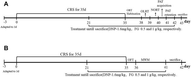 https://cdn.ncbi.nlm.nih.gov/pmc/blobs/541d/9464977/44efee8563f1/fphar-13-890330-g002.jpg