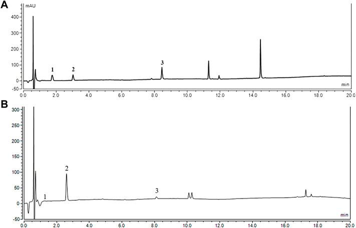 https://cdn.ncbi.nlm.nih.gov/pmc/blobs/541d/9464977/4e1f24429d59/fphar-13-890330-g001.jpg