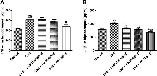 https://cdn.ncbi.nlm.nih.gov/pmc/blobs/541d/9464977/8d1b12d40919/fphar-13-890330-g008.jpg
