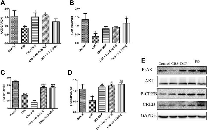 https://cdn.ncbi.nlm.nih.gov/pmc/blobs/541d/9464977/bc4349259850/fphar-13-890330-g009.jpg