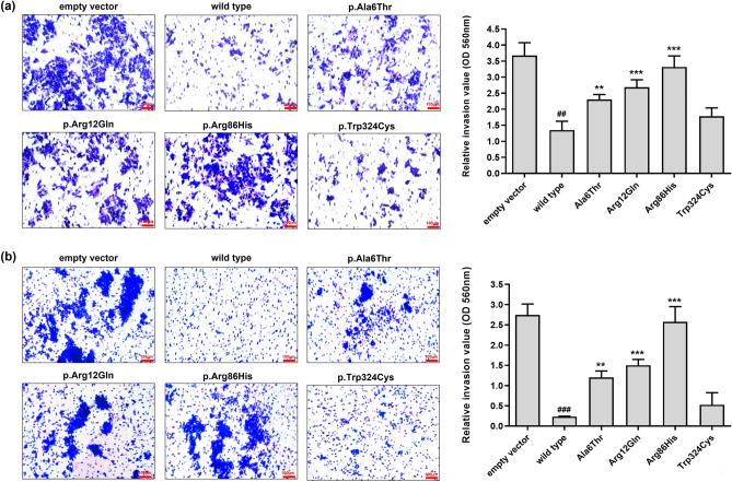 https://cdn.ncbi.nlm.nih.gov/pmc/blobs/5420/10873386/54e187815f43/41598_2024_54658_Fig6_HTML.jpg