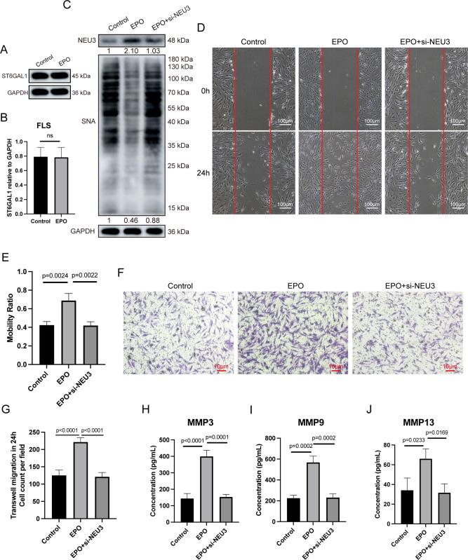 https://cdn.ncbi.nlm.nih.gov/pmc/blobs/5420/11041559/b2784fc4d41d/ard-2023-224852f04.jpg