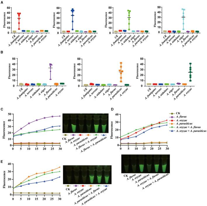 https://cdn.ncbi.nlm.nih.gov/pmc/blobs/5421/10915092/b229a73f5b58/fmicb-15-1323572-g0005.jpg