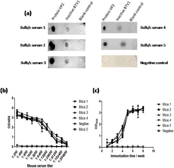 https://cdn.ncbi.nlm.nih.gov/pmc/blobs/5422/7789859/a37b93d07714/peerj-09-10543-g008.jpg