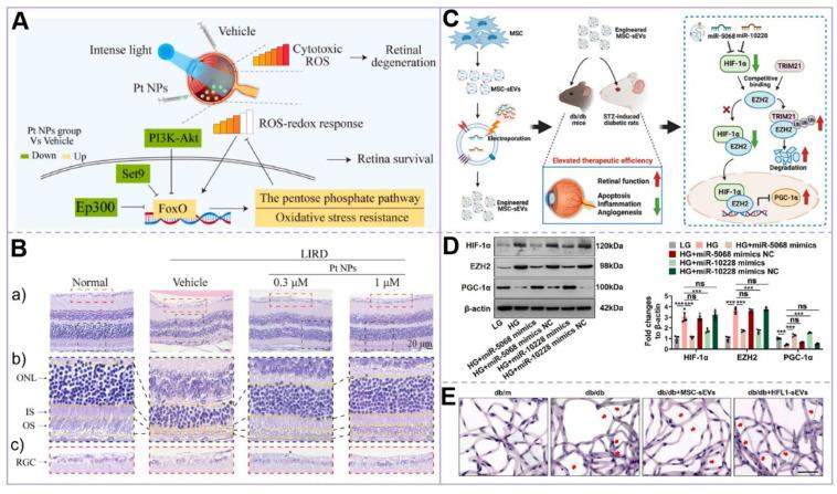 https://cdn.ncbi.nlm.nih.gov/pmc/blobs/5423/11905120/9a097c45b206/thnov15p3551g004.jpg