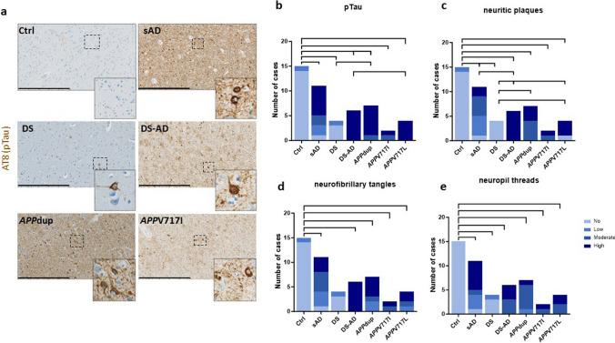 https://cdn.ncbi.nlm.nih.gov/pmc/blobs/5425/11258176/2ce5e70ef081/401_2024_2756_Fig4_HTML.jpg