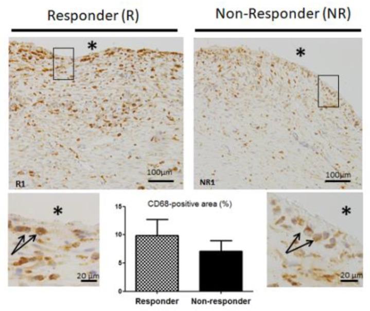 https://cdn.ncbi.nlm.nih.gov/pmc/blobs/5426/7073843/eaab3f0e5b02/jcm-09-00450-g003.jpg