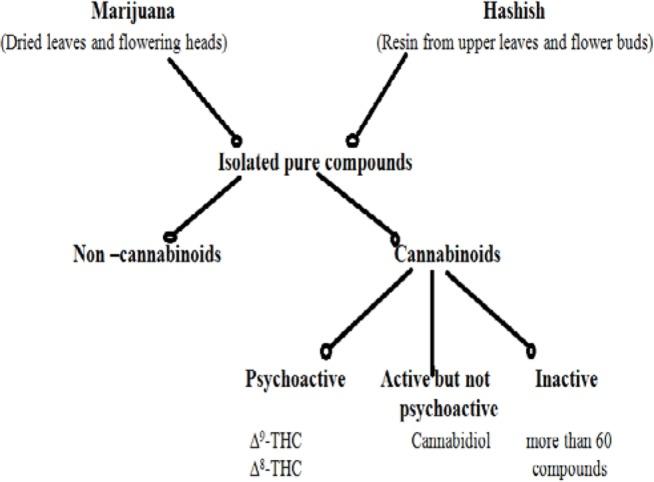 https://cdn.ncbi.nlm.nih.gov/pmc/blobs/5427/3570572/60442c3096c2/IJPS-7-149-g001.jpg