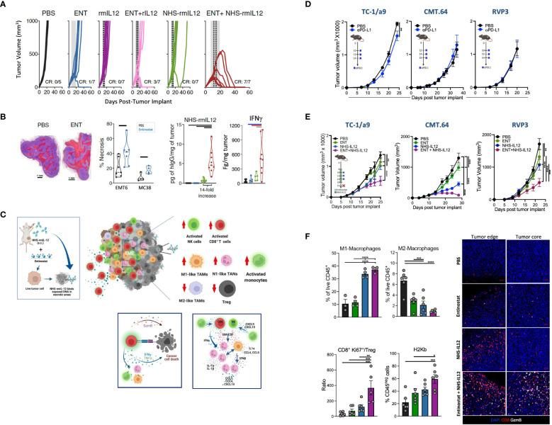 https://cdn.ncbi.nlm.nih.gov/pmc/blobs/5428/10802843/26906a741e9f/fonc-13-1321318-g003.jpg