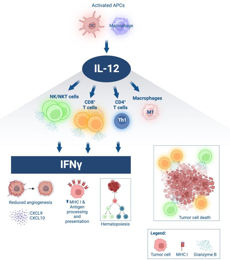 https://cdn.ncbi.nlm.nih.gov/pmc/blobs/5428/10802843/783dbcd140a5/fonc-13-1321318-g001.jpg