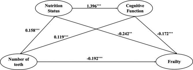 https://cdn.ncbi.nlm.nih.gov/pmc/blobs/5428/11840288/fb6cccb4f5c3/IJN-31-e70001-g001.jpg