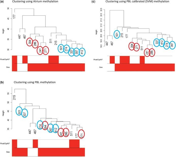https://cdn.ncbi.nlm.nih.gov/pmc/blobs/5428/3973306/635e3121c93b/gkt1380f5p.jpg