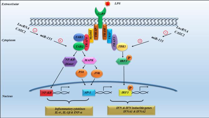 https://cdn.ncbi.nlm.nih.gov/pmc/blobs/542b/11652638/4a3964f79183/41598_2024_81212_Fig8_HTML.jpg