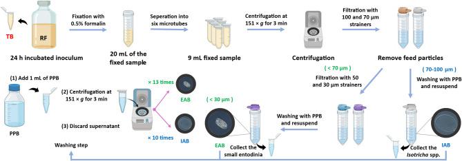 https://cdn.ncbi.nlm.nih.gov/pmc/blobs/542b/12279964/d3cc3102ae34/41598_2025_10599_Fig4_HTML.jpg