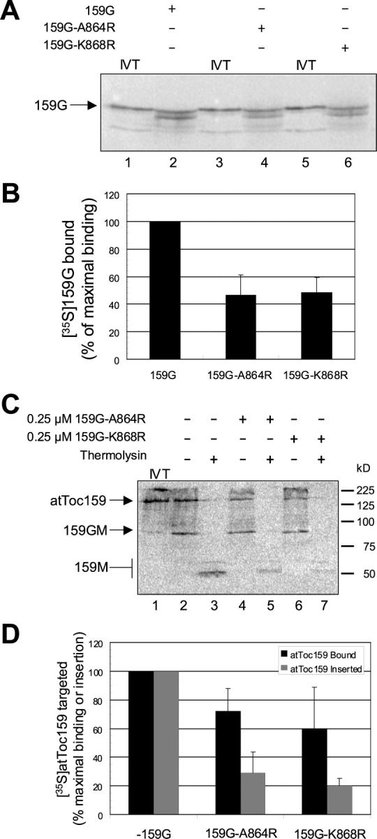 https://cdn.ncbi.nlm.nih.gov/pmc/blobs/542b/2173378/225c29004633/200208017f7.jpg