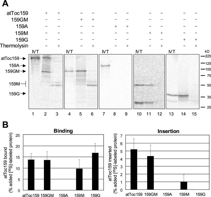 https://cdn.ncbi.nlm.nih.gov/pmc/blobs/542b/2173378/4ee9f73fd513/200208017f5.jpg
