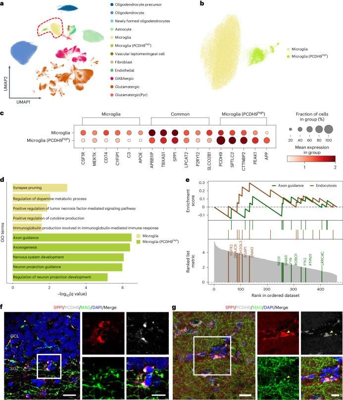https://cdn.ncbi.nlm.nih.gov/pmc/blobs/542c/11405287/6fe45ae92285/41591_2024_3150_Fig4_HTML.jpg