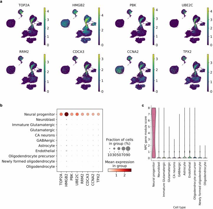 https://cdn.ncbi.nlm.nih.gov/pmc/blobs/542c/11405287/ea1c5fd3d582/41591_2024_3150_Fig7_ESM.jpg