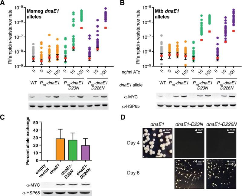 https://cdn.ncbi.nlm.nih.gov/pmc/blobs/542c/4449289/35ea23f91f83/nihms672060f2.jpg