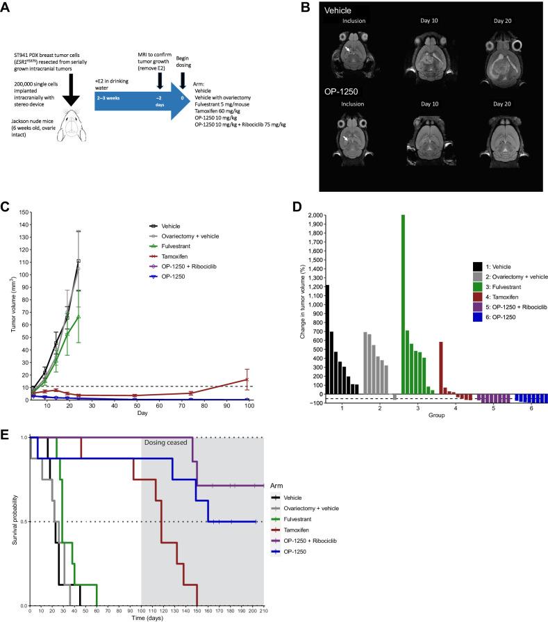 https://cdn.ncbi.nlm.nih.gov/pmc/blobs/542f/10911704/3145c49846dc/285fig6.jpg