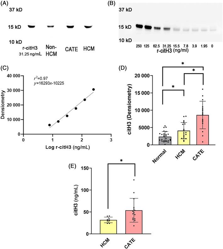 https://cdn.ncbi.nlm.nih.gov/pmc/blobs/5430/10061180/27b7f7665ca4/JVIM-37-490-g005.jpg