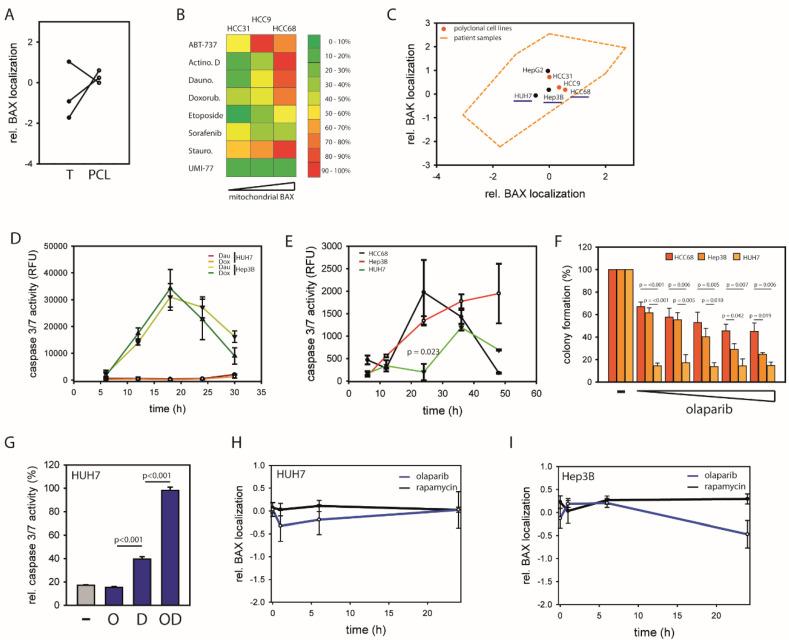 https://cdn.ncbi.nlm.nih.gov/pmc/blobs/5430/7352885/48d2dd205720/cancers-12-01437-g005.jpg