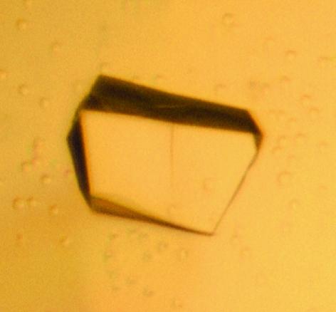 https://cdn.ncbi.nlm.nih.gov/pmc/blobs/5433/2645605/0904a48029a2/d-63-00072-fig10.jpg