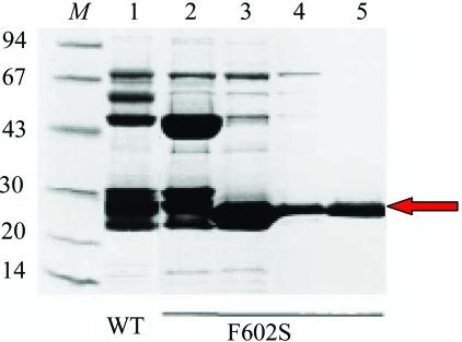 https://cdn.ncbi.nlm.nih.gov/pmc/blobs/5433/2645605/18341d306ac9/d-63-00072-fig2.jpg