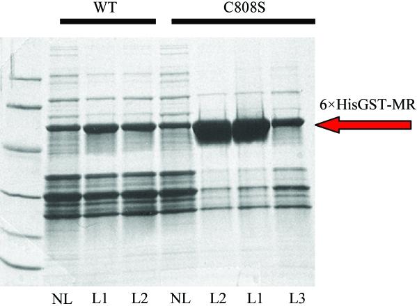 https://cdn.ncbi.nlm.nih.gov/pmc/blobs/5433/2645605/46bab3a12f52/d-63-00072-fig5.jpg