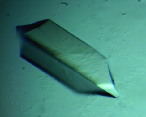 https://cdn.ncbi.nlm.nih.gov/pmc/blobs/5433/2645605/a992096fc7dc/d-63-00072-fig1.jpg