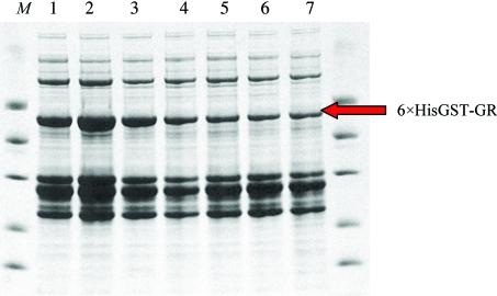https://cdn.ncbi.nlm.nih.gov/pmc/blobs/5433/2645605/c9deae552930/d-63-00072-fig3.jpg