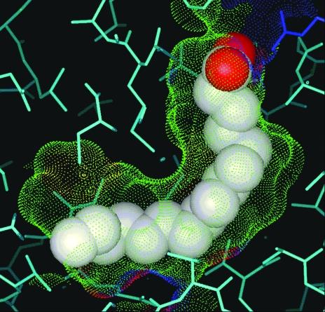 https://cdn.ncbi.nlm.nih.gov/pmc/blobs/5433/2645605/ca34a64aa4f7/d-63-00072-fig13.jpg