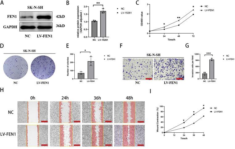 https://cdn.ncbi.nlm.nih.gov/pmc/blobs/5436/12215590/352f0ba2a003/OncolRes-33-60021-f006.jpg
