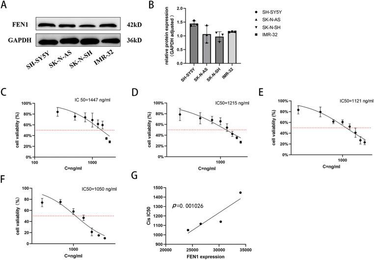 https://cdn.ncbi.nlm.nih.gov/pmc/blobs/5436/12215590/896442cad5bb/OncolRes-33-60021-f004.jpg