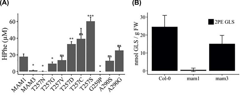 https://cdn.ncbi.nlm.nih.gov/pmc/blobs/5436/6603273/ad85480e936e/bsr-39-bsr20190446-g7.jpg