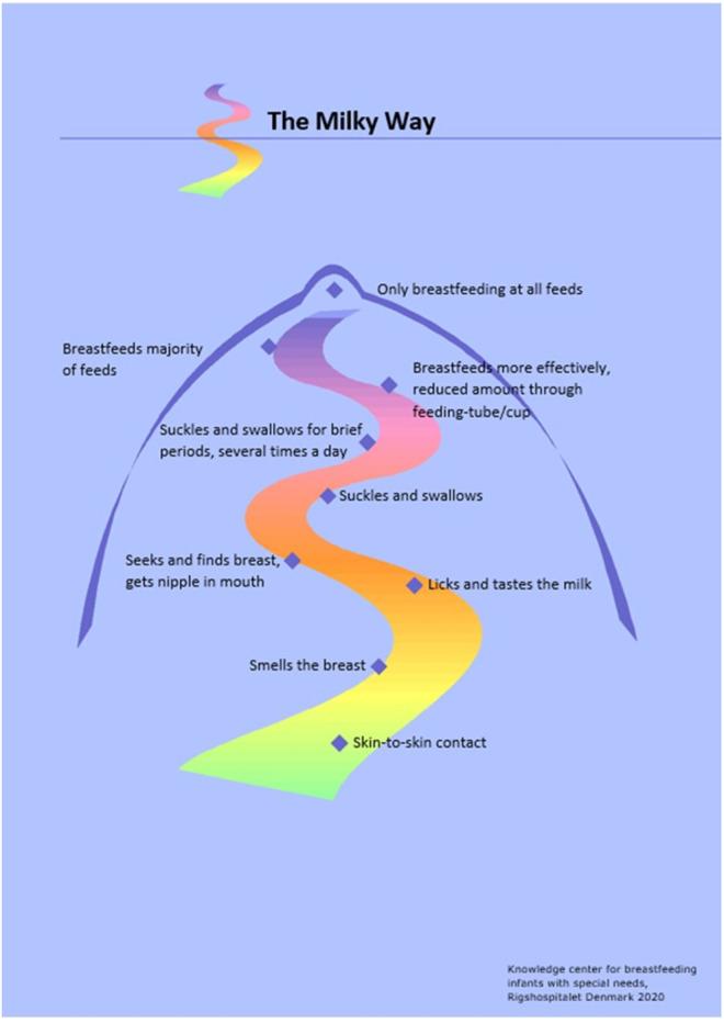 https://cdn.ncbi.nlm.nih.gov/pmc/blobs/5438/12273985/17ca10febc07/pone.0303224.g001.jpg