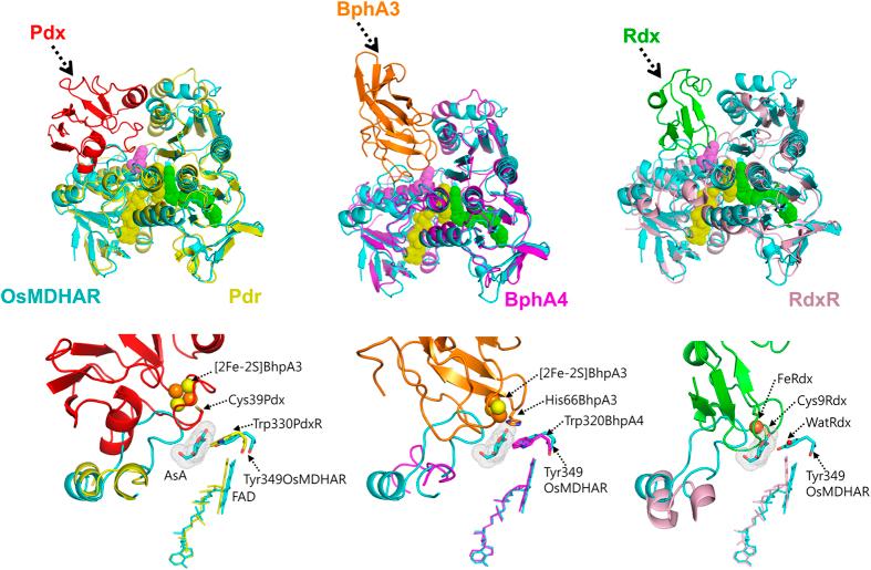 https://cdn.ncbi.nlm.nih.gov/pmc/blobs/5438/5031999/ed0f5e515088/srep33903-f2.jpg