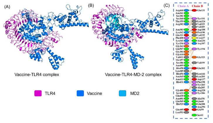 https://cdn.ncbi.nlm.nih.gov/pmc/blobs/5439/8624571/1477bb4fba25/vaccines-09-01210-g007.jpg