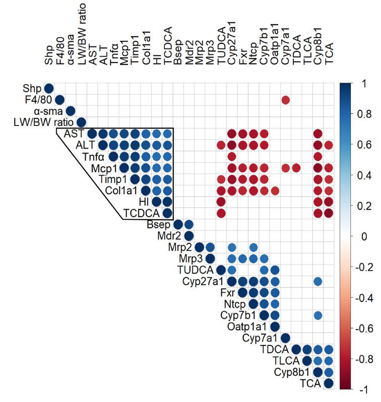 https://cdn.ncbi.nlm.nih.gov/pmc/blobs/543b/10643054/55eaa21dd08f/cs-137-cs20230812-g4.jpg
