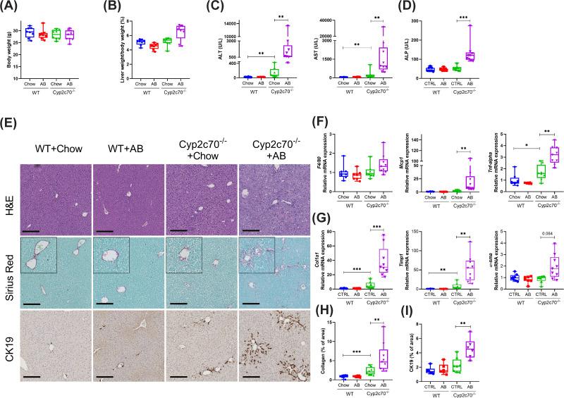 https://cdn.ncbi.nlm.nih.gov/pmc/blobs/543b/10643054/875cebaa30b5/cs-137-cs20230812-g3.jpg